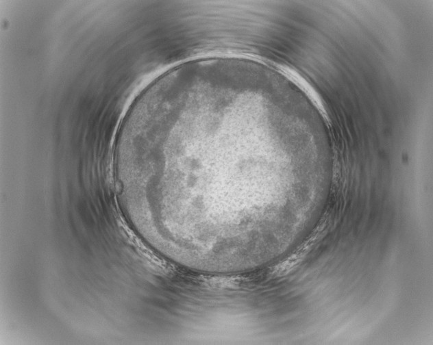 X0000087021004200705071505