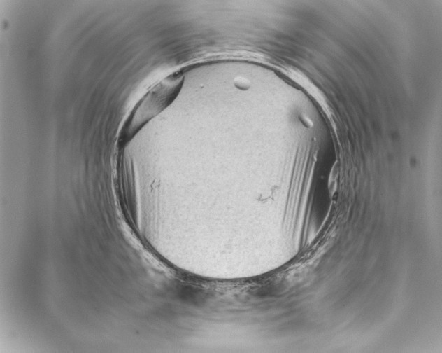 X0000087021005200705071505