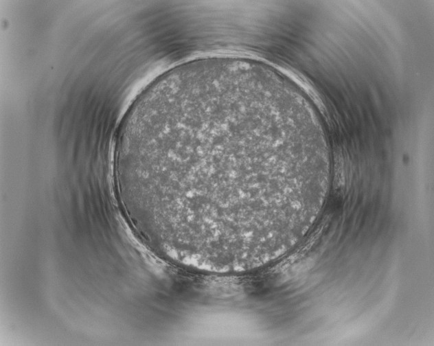 X0000087021006200705071505