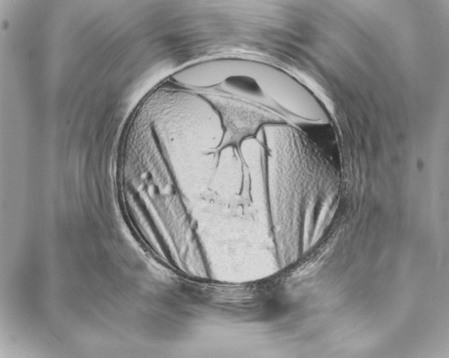 X0000087021007200705071505