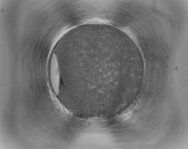 X0000087021008200705071505