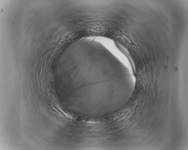 X0000087021009200705071504