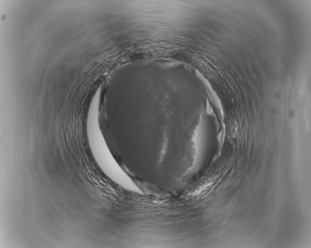 X0000087021010200705071504