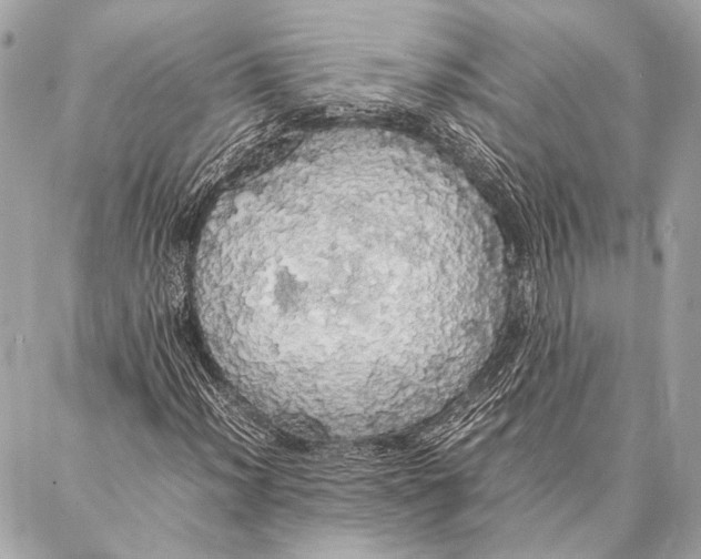 X0000087021012200705071504