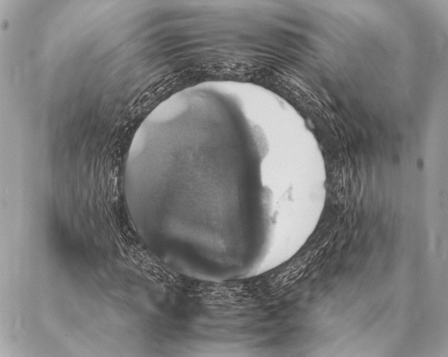 X0000087021013200705071504