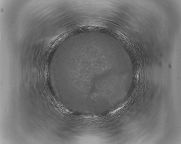 X0000087021014200705071504