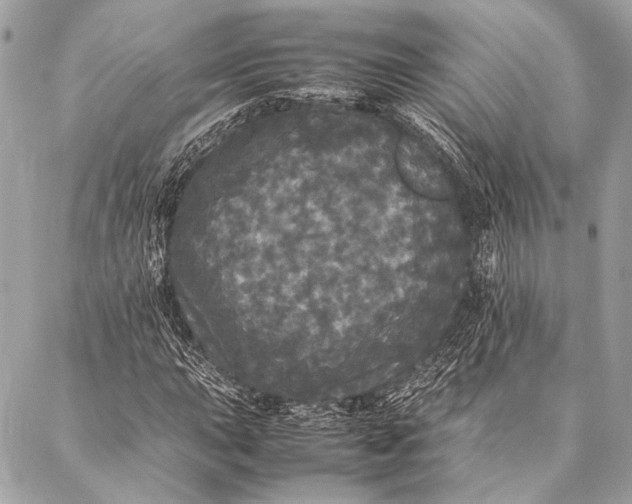 X0000087021015200705071504