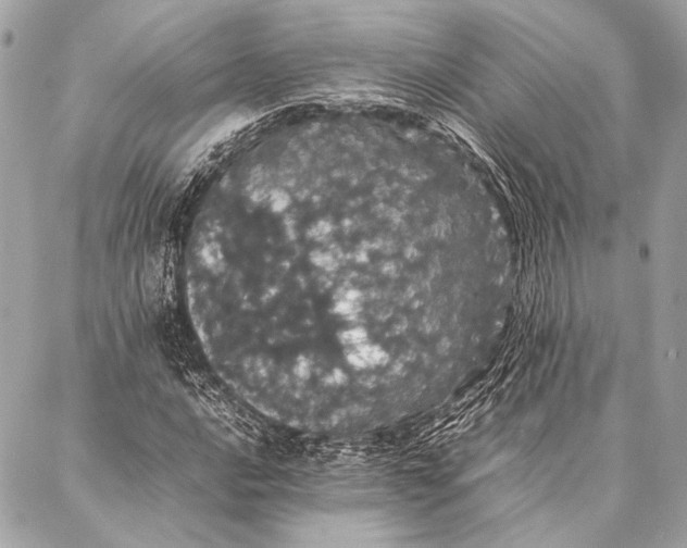 X0000087021016200705071504