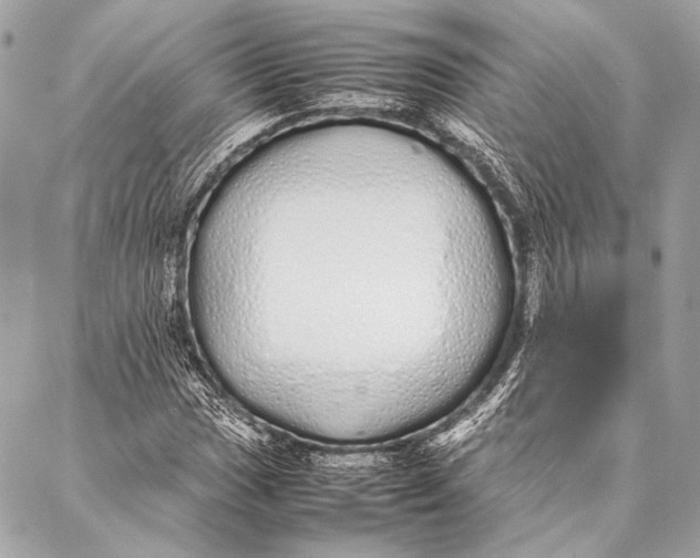 X0000087021017200705071504