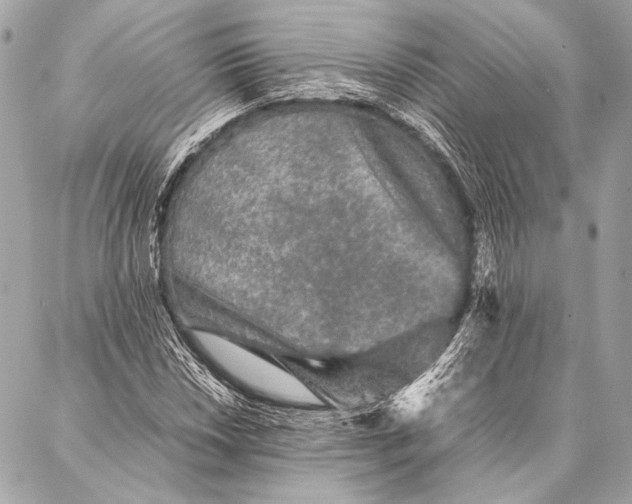 X0000087021018200705071504