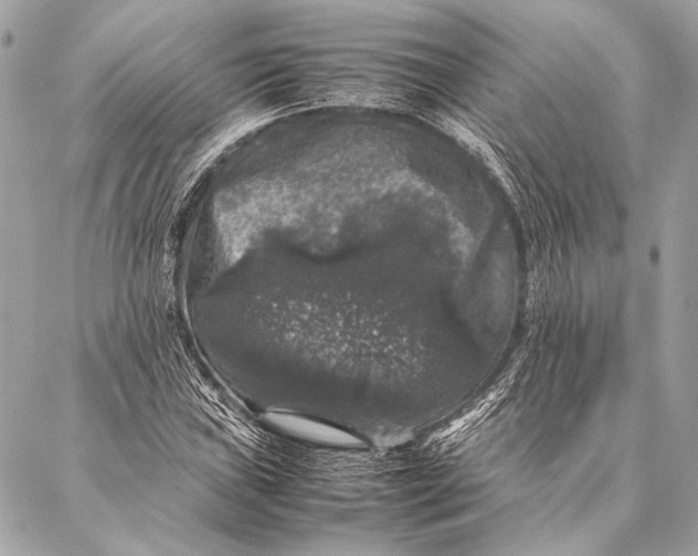 X0000087021019200705071504