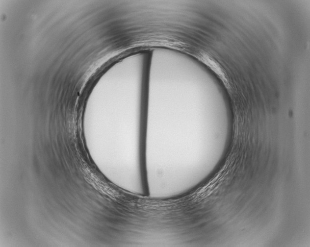 X0000087021020200705071504