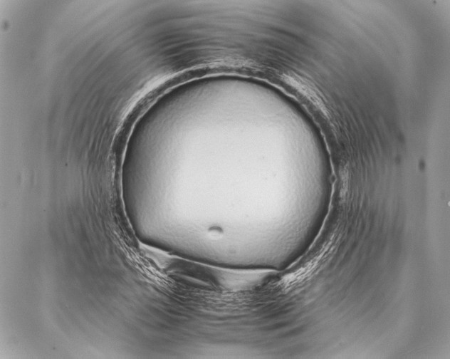 X0000087021021200705071504