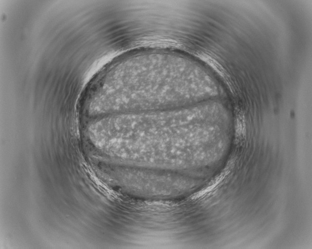 X0000087021022200705071504