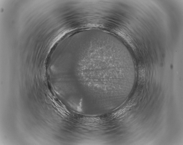 X0000087021023200705071504