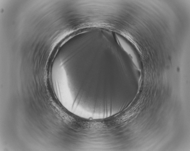 X0000087021024200705071504