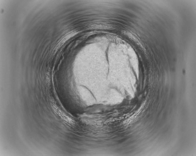 X0000087021025200705071504