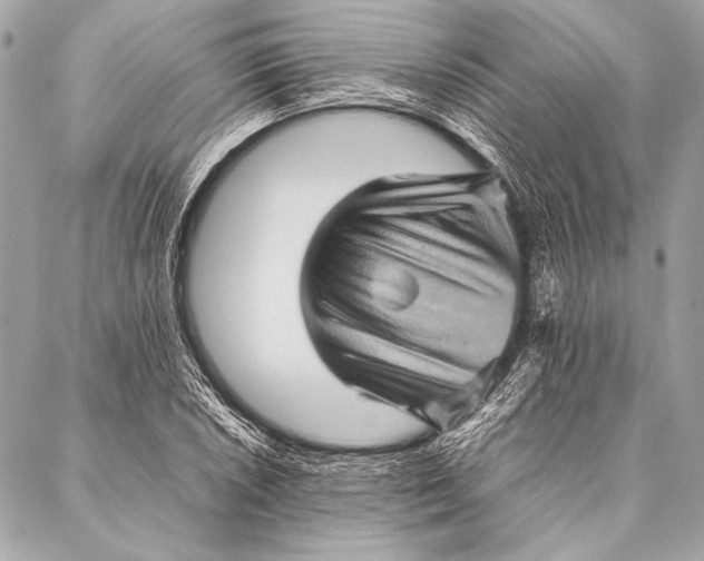 X0000087021026200705071504