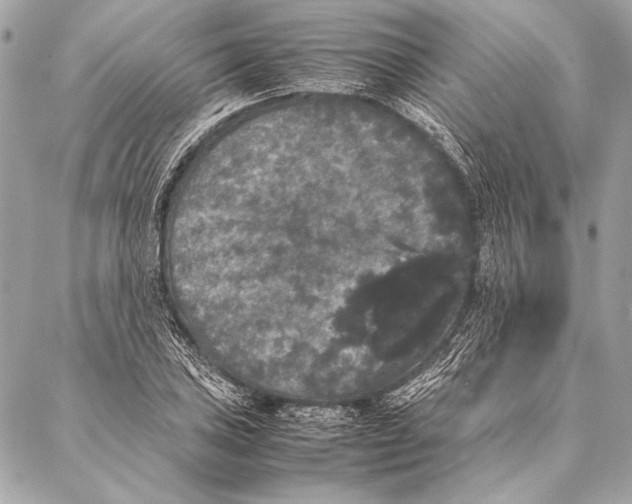 X0000087021027200705071504