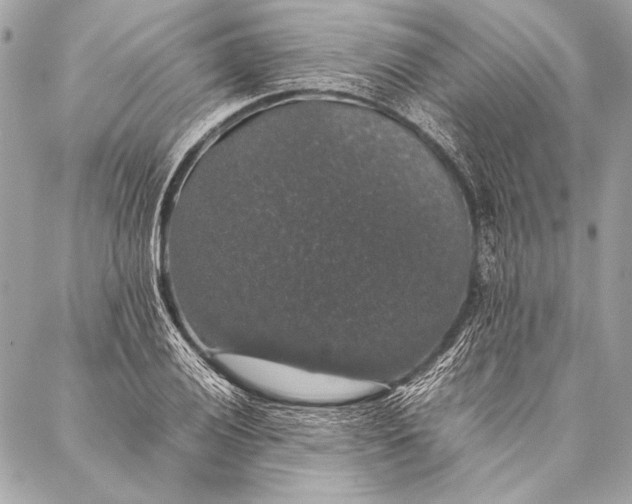 X0000087021028200705071504