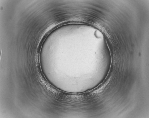 X0000087021029200705071504