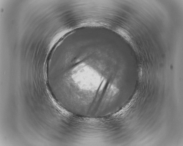 X0000087021030200705071504