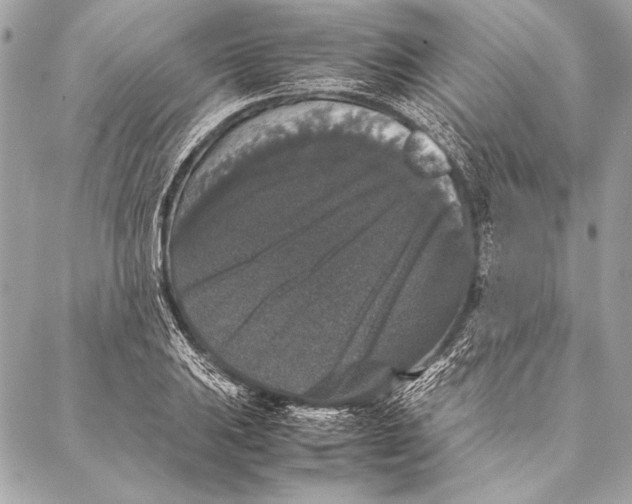 X0000087021031200705071504