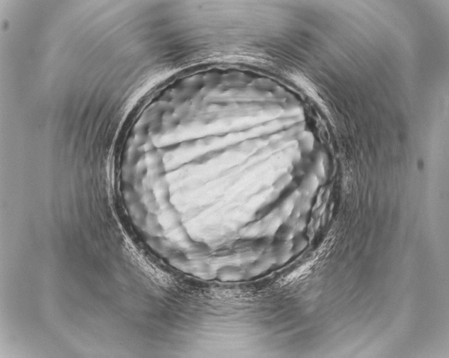 X0000087021032200705071504