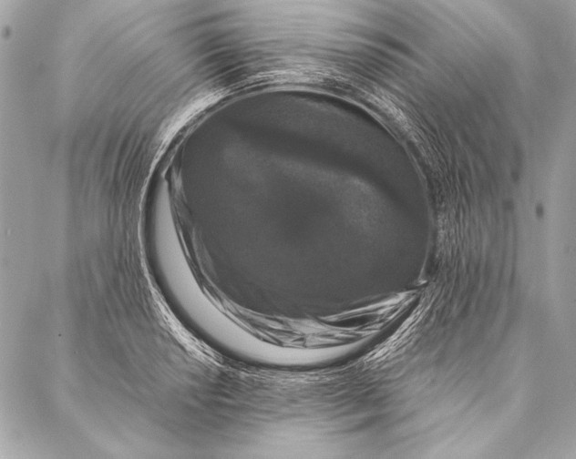 X0000087021034200705071504