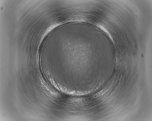 X0000087021035200705071504