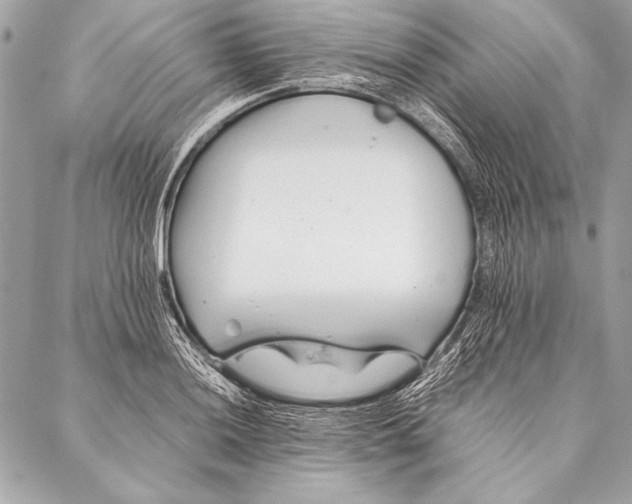 X0000087021036200705071504