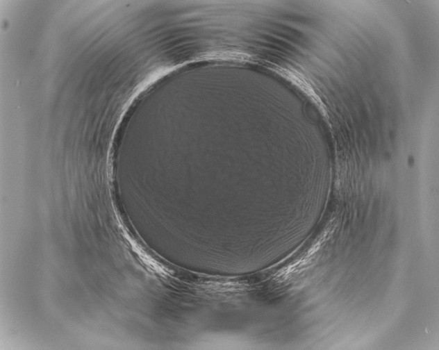 X0000087021037200705071504