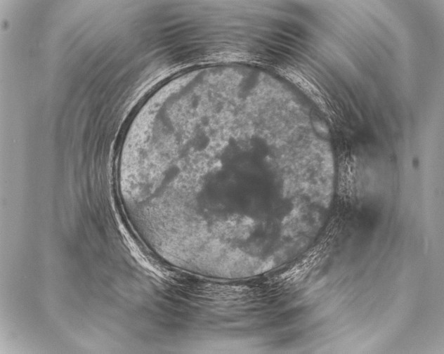 X0000087021039200705071504