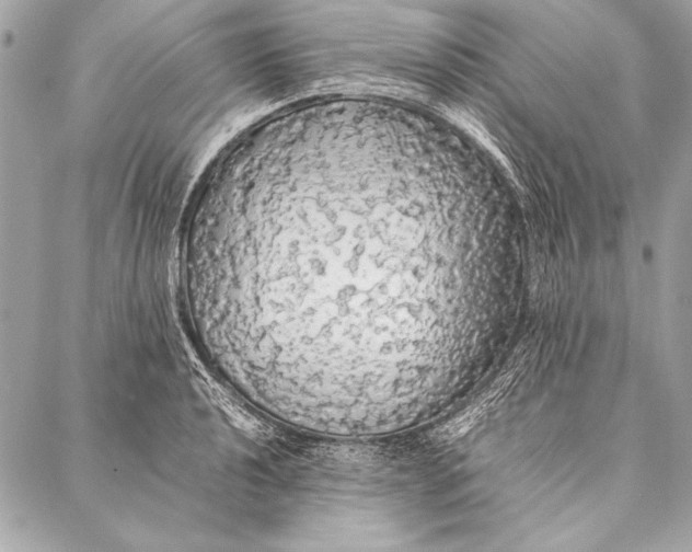 X0000087021040200705071504