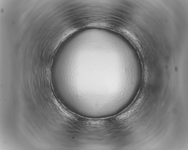 X0000087021041200705071505