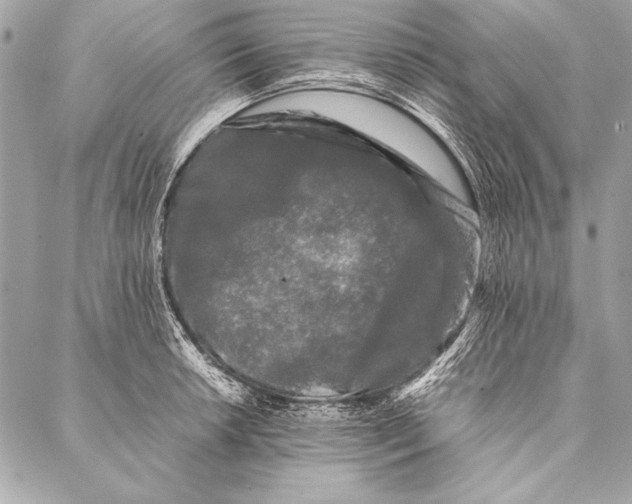 X0000087021042200705071505