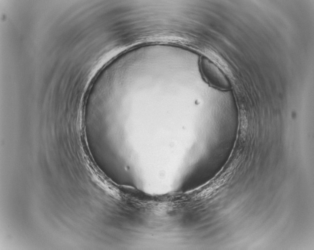 X0000087021044200705071505