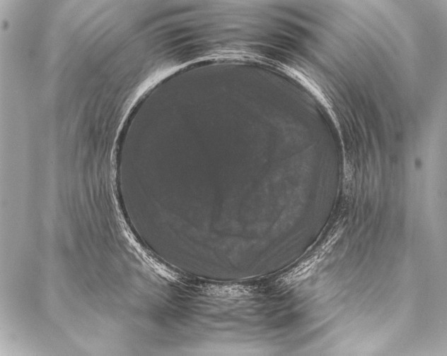 X0000087021045200705071505