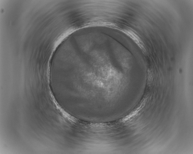 X0000087021046200705071505