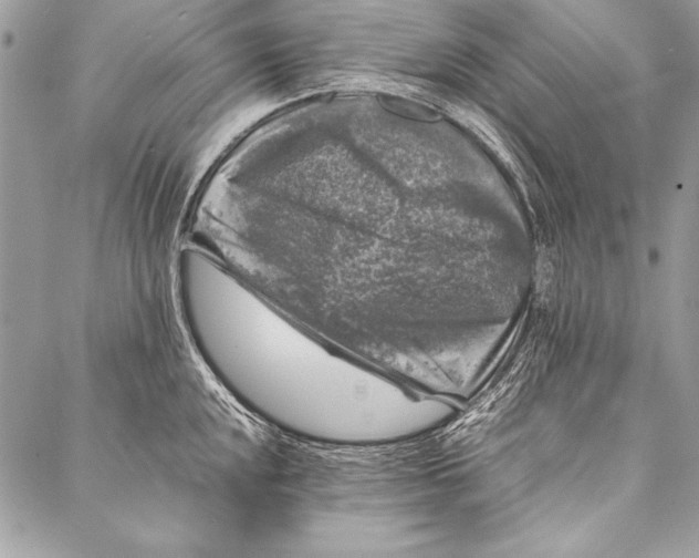 X0000087021048200705071505