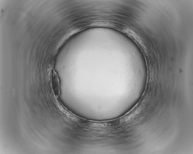 X0000087021049200705071505