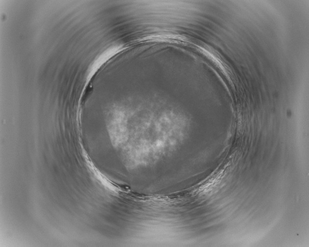 X0000087021050200705071505