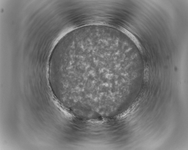 X0000087021051200705071505