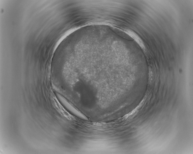 X0000087021052200705071505