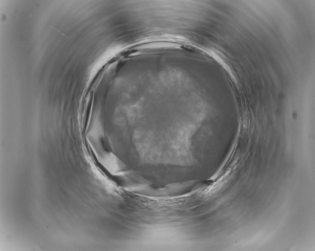 X0000087021054200705071505