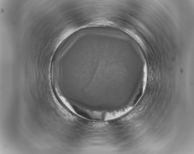 X0000087021055200705071505