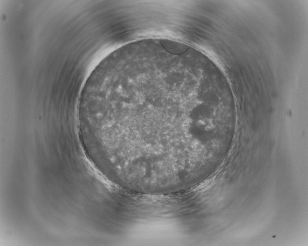 X0000087021056200705071505