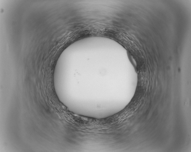 X0000087021057200705071504