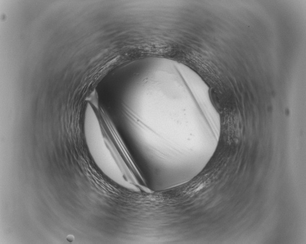 X0000087021058200705071504