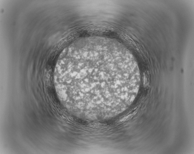 X0000087021059200705071504